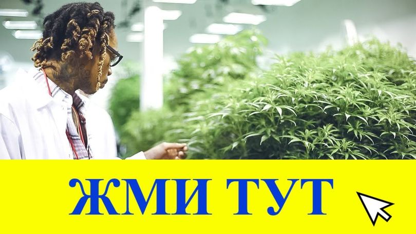 Купить наркотики в Уфе